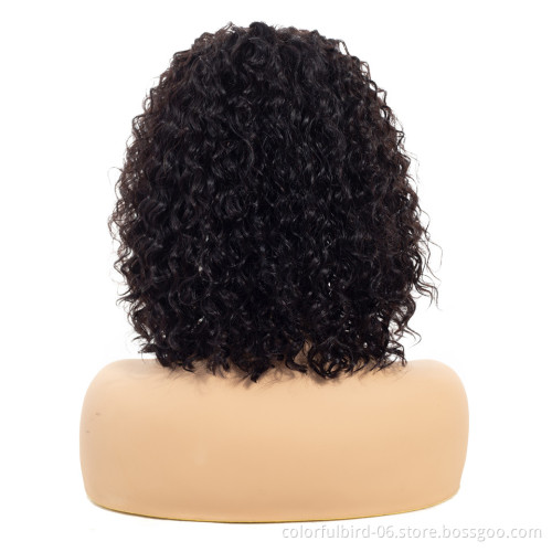 Natural Middle Peruvian Mink jerry curly Wig with 4x4 Closure Transparent HD Lace closure human hair wig curly